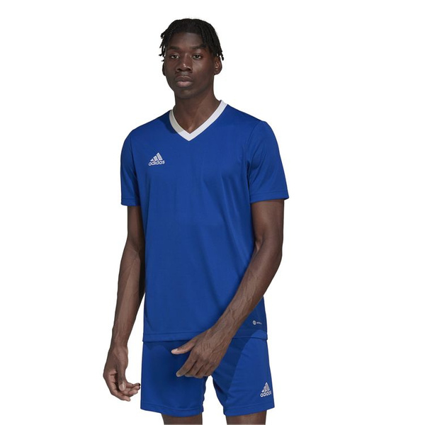 Koszulka męska adidas Entrada 22 Jersey niebieska