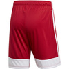 Spodenki męskie adidas Tastigo 19 Shorts czerwone DP3681