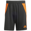 Spodenki adidas Tiro 24 DT M IP5594