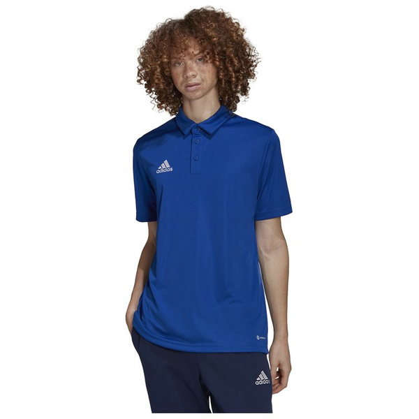 Koszulka męska adidas Entrada 22 Polo niebieska