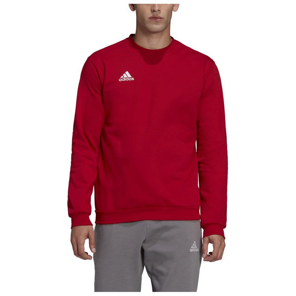 Bluza męska adidas Entrada bez kaptura HB0577