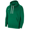 Bluza męska Nike Team Club 20 Hoodie zielona CW6894 302