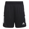 Spodenki sportowe adidas Condivo 22 HA6282