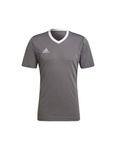 Koszulka męska adidas Entrada 22 Jersey szara