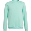 Bluza dla dzieci adidas Entrada 22 Sweat Top miętowa HC5042