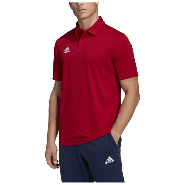 Koszulka męska adidas Entrada 22 Polo czerwona 