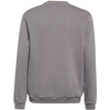 Bluza dla dzieci adidas Entrada 22 Sweat Top szara H57477