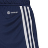 Spodenki męskie adidas Condivo 22 Training Shorts granatowe HA6284