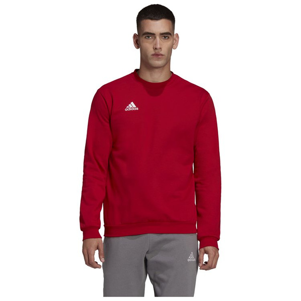 Bluza męska adidas Entrada bez kaptura HB0577