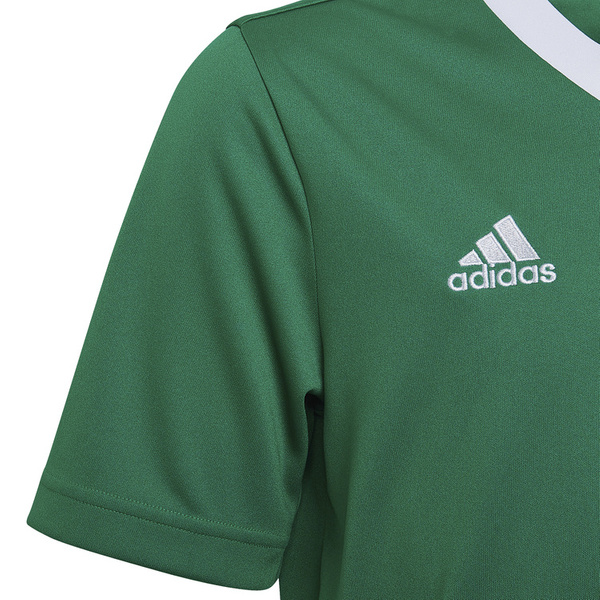 Koszulka dla dzieci adidas Entrada 22 Jersey zielony