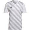 Koszulka męska adidas Entrada 22 Graphic Jersey biało-szara HF0129