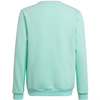 Bluza dla dzieci adidas Entrada 22 Sweat Top miętowa HC5042