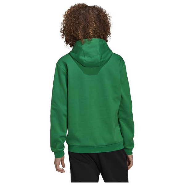 Bluza męska adidas Entrada 22 Sweat Hoodie zielona HI2141