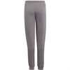 Spodnie dla dzieci adidas Entrada 22 Sweat Pants szare H57519