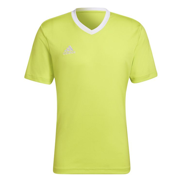 Koszulka męska adidas Entrada 22 Jersey jasno-zielona