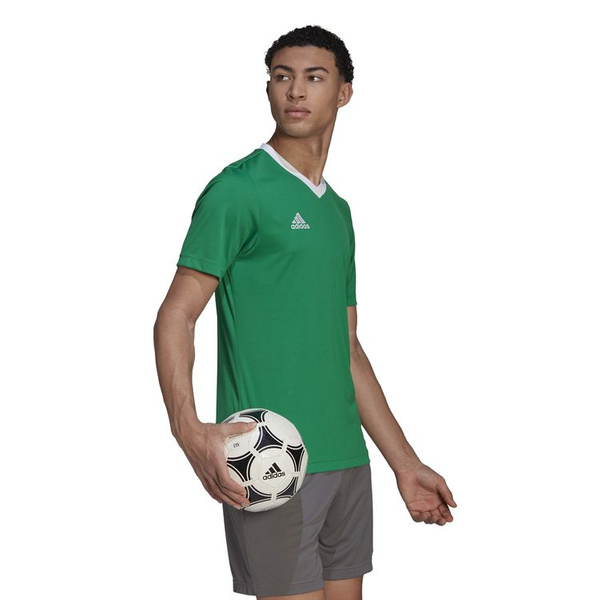 Koszulka męska adidas Entrada 22 Jersey zielona