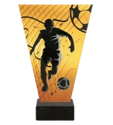 Trofeum szklane 22,5cm - PIŁKA NOŻNA - VL1-A/SOC2/BK