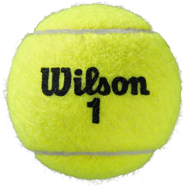 Piłki do tenisa ziemnego Wilson Roland Garros All Court 4 szt