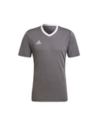 Koszulka męska adidas Entrada 22 Jersey szara