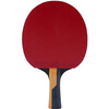 Rakietka do ping ponga Butterfly Carbon