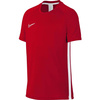 Koszulka dla dzieci Nike Dri-FIT Academy SS Top JUNIOR czerwona AO0739 657