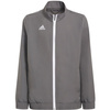 Bluza dla dzieci adidas Entrada 22 Presentation Jacket szara H57539