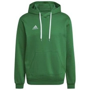 Bluza męska adidas Entrada 22 Sweat Hoodie zielona HI2141