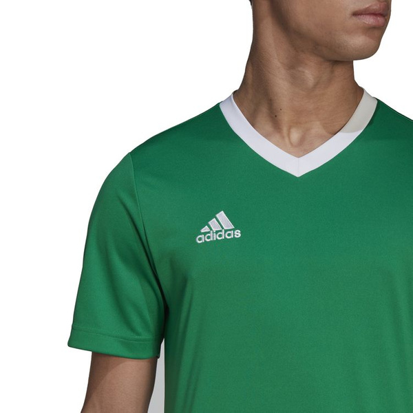 Koszulka męska adidas Entrada 22 Jersey zielona